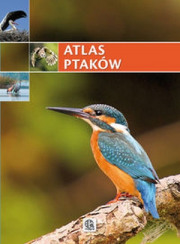 Atlas ptaków